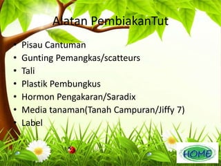 Alatan PembiakanTut 
• Pisau Cantuman 
• Gunting Pemangkas/scatteurs 
• Tali 
• Plastik Pembungkus 
• Hormon Pengakaran/Saradix 
• Media tanaman(Tanah Campuran/Jiffy 7) 
• Label 
 