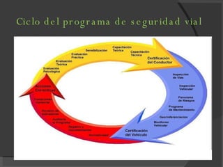 Ciclo del programa de seguridad vial 