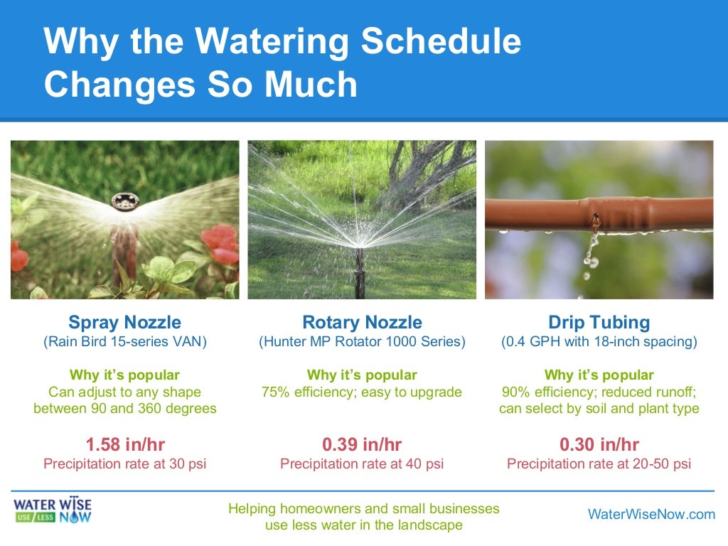 How to Water Your Trees After You Stop Watering Your Lawn