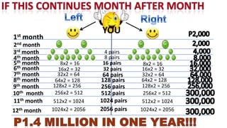 YOU
1st   month
2nd month
3rd month                      4 pairs
4th month                      8 pairs
5th month         8x2 = 16    16 pairs      8x2 = 16
6th month        16x2 = 32    32 pairs      16x2 = 32
7th month        32x2 = 64     64 pairs     32x2 = 64
8th month       64x2 = 128    128 pairs    64x2 = 128
9th month     128x2 = 256     256 pairs     128x2 = 256
10th month      256x2 = 512   512 pairs     256x2 = 512
11th month     512x2 = 1024   1024 pairs    512x2 = 1024
12th month    1024x2 = 2056   2056 pairs   1024x2 = 2056
 