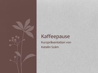 Kaffeepause
Kurzpräsentation von
Katalin Szám
 