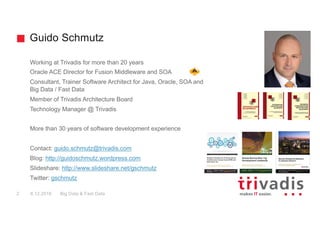 Guido Schmutz
Working at Trivadis for more than 20 years
Oracle ACE Director for Fusion Middleware and SOA
Consultant, Trainer Software Architect for Java, Oracle, SOA and
Big Data / Fast Data
Member of Trivadis Architecture Board
Technology Manager @ Trivadis
More than 30 years of software development experience
Contact: guido.schmutz@trivadis.com
Blog: http://guidoschmutz.wordpress.com
Slideshare: http://www.slideshare.net/gschmutz
Twitter: gschmutz
2 8.12.2016 Big Data & Fast Data
 