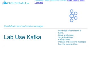 ™
Cassandra / Kafka Support in EC2/AWS. Kafka Training, Kafka
Consulting
Use Kafka to send and receive messages
Lab Use Kafka
Use single server version of
Kafka.
Setup single node.
Single ZooKeeper.
Create a topic.
Produce and consume messages
from the command line.
 