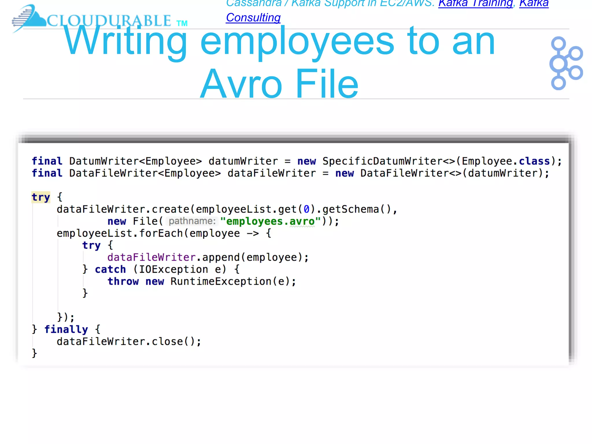 Cassandra / Kafka Support in EC2/AWS. Kafka Training, Kafka
Consulting
™
Writing employees to an
Avro File
 
