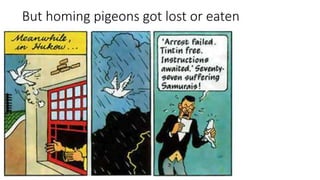 But homing pigeons got lost or eaten
 