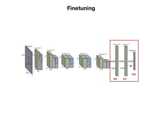 Finetuning
 