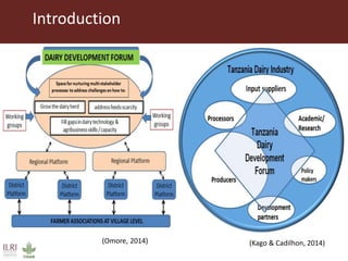 Impact of innovation platforms and information sharing on nurturing of smaller innovation platforms: A case study of Tanzania Dairy Development Forum