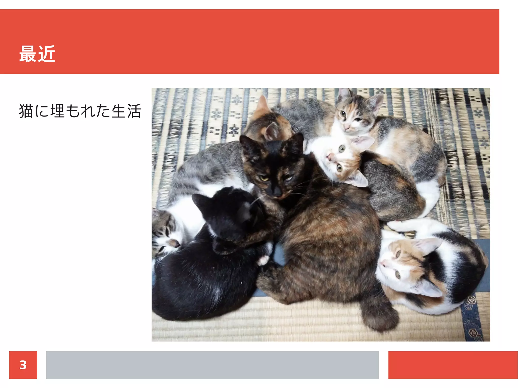 3
最近
猫に埋もれた生活
 