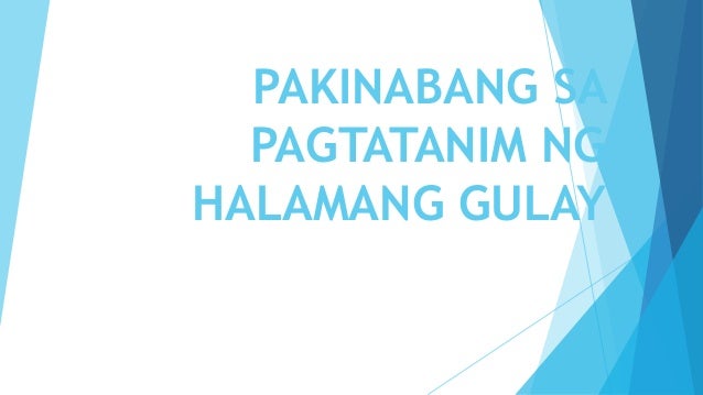 kahalagahan ng halamang gamot Kahalagahan ng halamang gamot sa mga pinoy mga halamang gamot at paraan ng paggamit bago natin ito pag-usapan, alamin muna natin kung ano ba ang kahalagahan ng mga halamang gamot na ito sa mga pilipino. kahalagahan ng halamang gamot Kahalagahan ng halamang gamot sa mga pinoy mga halamang gamot at paraan ng paggamit bago natin ito pag-usapan, alamin muna natin kung ano ba ang kahalagahan ng mga halamang gamot na ito sa mga pilipino.