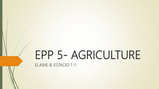 EPP 5- AGRICULTURE
ELAINE B. ESTACIO T-1
 