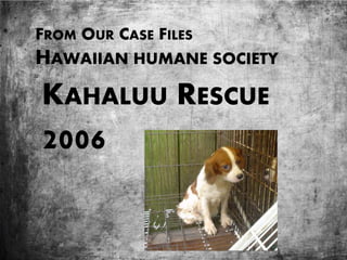FROM OUR CASE FILES
HAWAIIAN HUMANE SOCIETY
KAHALUU RESCUE
2006
 