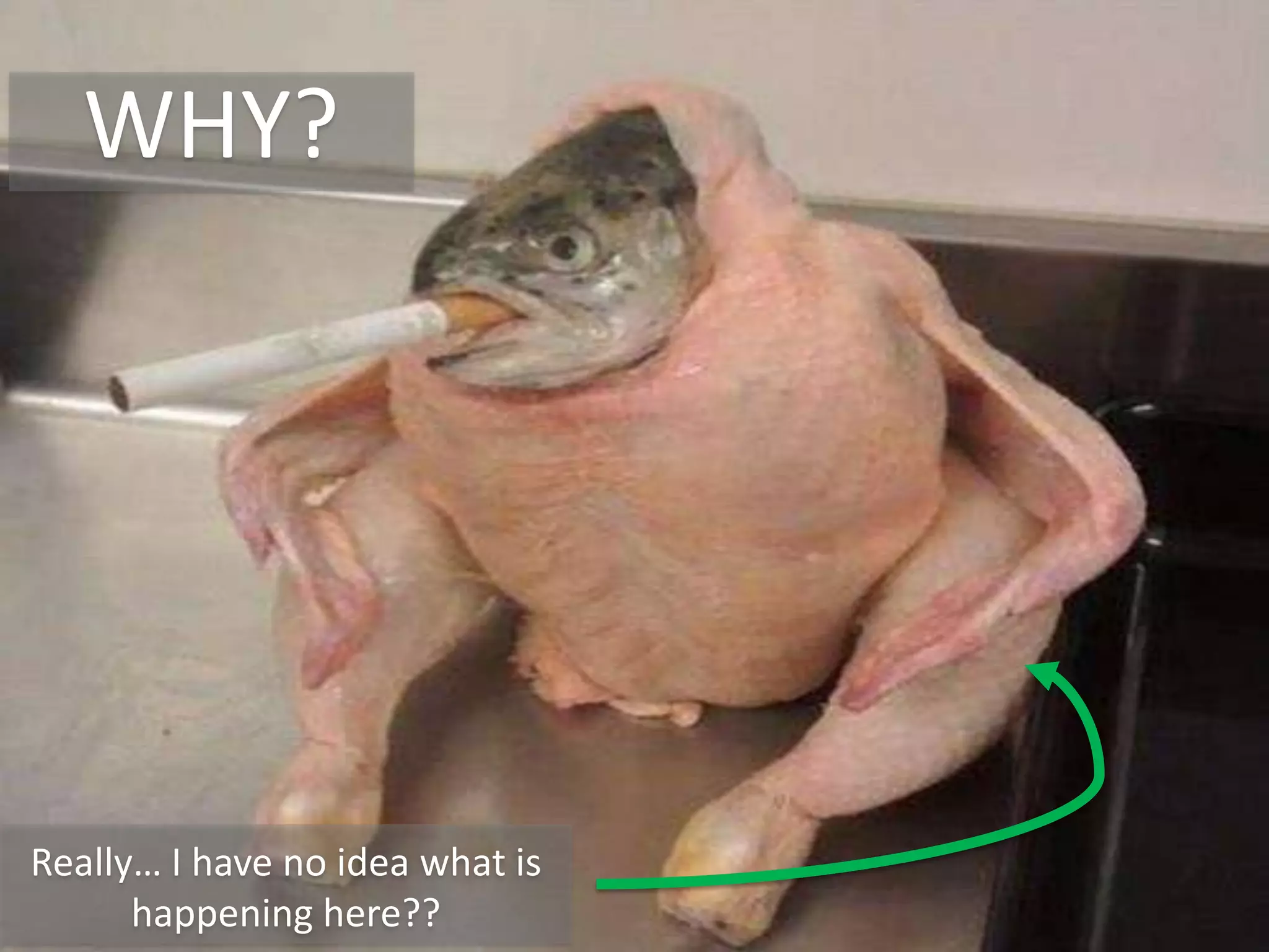 @aaronfriedman
WHY?
Really… I have no idea what is
happening here??
 