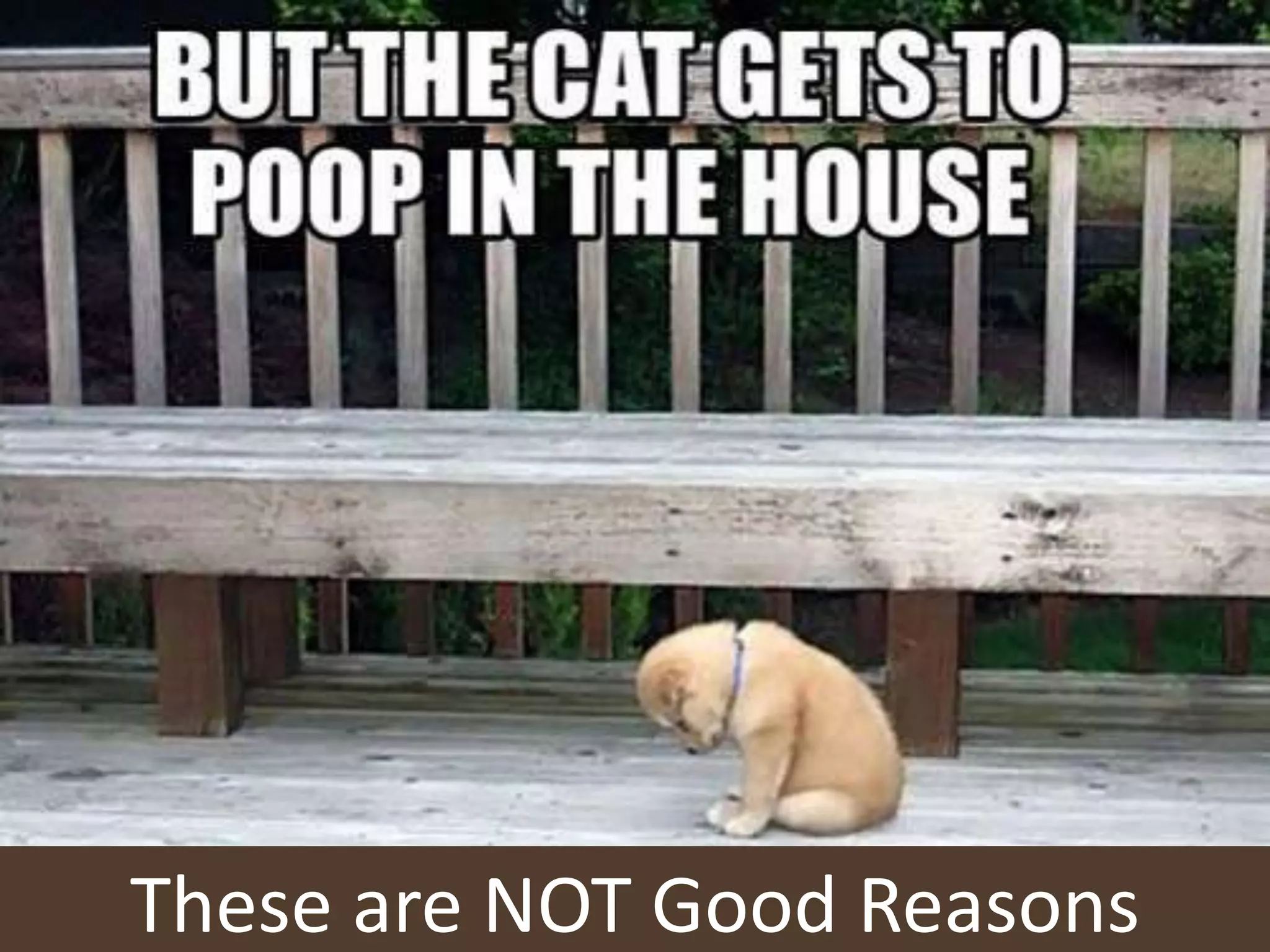 @aaronfriedmanThese are NOT Good Reasons
 