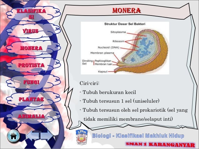 Klasifikasi Makhluk Hidup