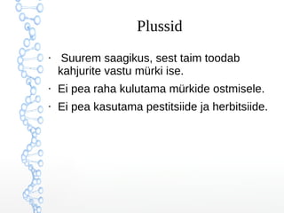 Plussid
●
Suurem saagikus, sest taim toodab
kahjurite vastu mürki ise.
●
Ei pea raha kulutama mürkide ostmisele.
●
Ei pea kasutama pestitsiide ja herbitsiide.
 