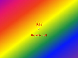 Kai
By Mitchell
 
