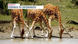 NARRATIVE 34 
COORDINATE THE UNCOORDINATED 
 