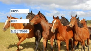 HORSES 
RIDER 
CARE & TRAINING 
 