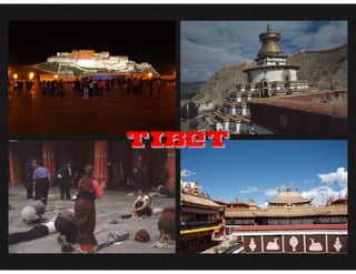Tibet
 