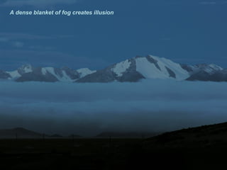 A dense blanket of fog creates illusion 