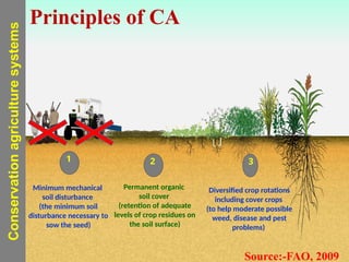 sss
Minimum mechanical
soil disturbance
(the minimum soil
disturbance necessary to
sow the seed)
1
Principles of CA
Permanent organic
soil cover
(retention of adequate
levels of crop residues on
the soil surface)
2
Diversified crop rotations
including cover crops
(to help moderate possible
weed, disease and pest
problems)
3
Conservation
agriculture
systems
Source:-FAO, 2009
 