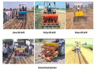 Zero till drill Strip till drill Roto till drill
Raised bed planter
 