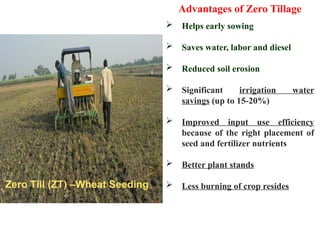 Zero Till (ZT) –Wheat Seeding
 Helps early sowing
 Saves water, labor and diesel
 Reduced soil erosion
 Significant irrigation water
savings (up to 15-20%)
 Improved input use efficiency
because of the right placement of
seed and fertilizer nutrients
 Better plant stands
 Less burning of crop resides
Advantages of Zero Tillage
 