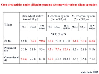 Crop productivity under different cropping systems with various tillage operation
Tillage
Rice-wheat system
(Av. of 04 yr)
Rice-maize system
(Av. of 03 yr)
Maize-wheat system
(Av. of 02 yr)
Rice Wheat
R-W
system
Rice Maize
R-M
system
Maize Wheat
M-W
system
Yield (t ha-1
)
No-till 5.0 b 3.9 a 9.0 a 4.6 a 7.1 b 11.7 b 4.4 a 4.4 a 8.8 a
Permanent
bed
5.2 b 3.1 b 8.3 c 4.7 a 7.7 a 12.4 a 4.2 a 3.9 b 8.1 b
Conventional
till
5.8 a 2.9 b 8.7 b 4.7 a 5.3 c 10.0 c 3.7 b 3.9 b 7.6 c
Jat et al., 2009
 