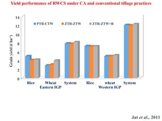 Yield performance of RWCS under CA and conventional tillage practices
Rice Wheat System Rice wheat System
Eastern IGP Western IGP
0
2
4
6
8
10
12
14
PTR-CTW ZTR-ZTW ZTR-ZTW+R
Jat et al., 2011
Grain
yield
(t
ha
-1
)
 