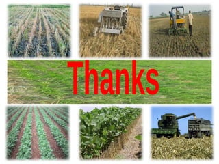 Conservation agriculture and its impact on soil health and crop yield