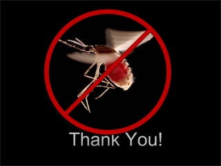 112
Thank You!Thank You!
 