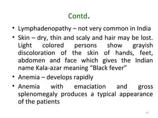 50
Contd.
• Lymphadenopathy – not very common in India
• Skin – dry, thin and scaly and hair may be lost.
Light colored persons show grayish
discoloration of the skin of hands, feet,
abdomen and face which gives the Indian
name Kala-azar meaning “Black fever”
• Anemia – develops rapidly
• Anemia with emaciation and gross
splenomegaly produces a typical appearance
of the patients
 
