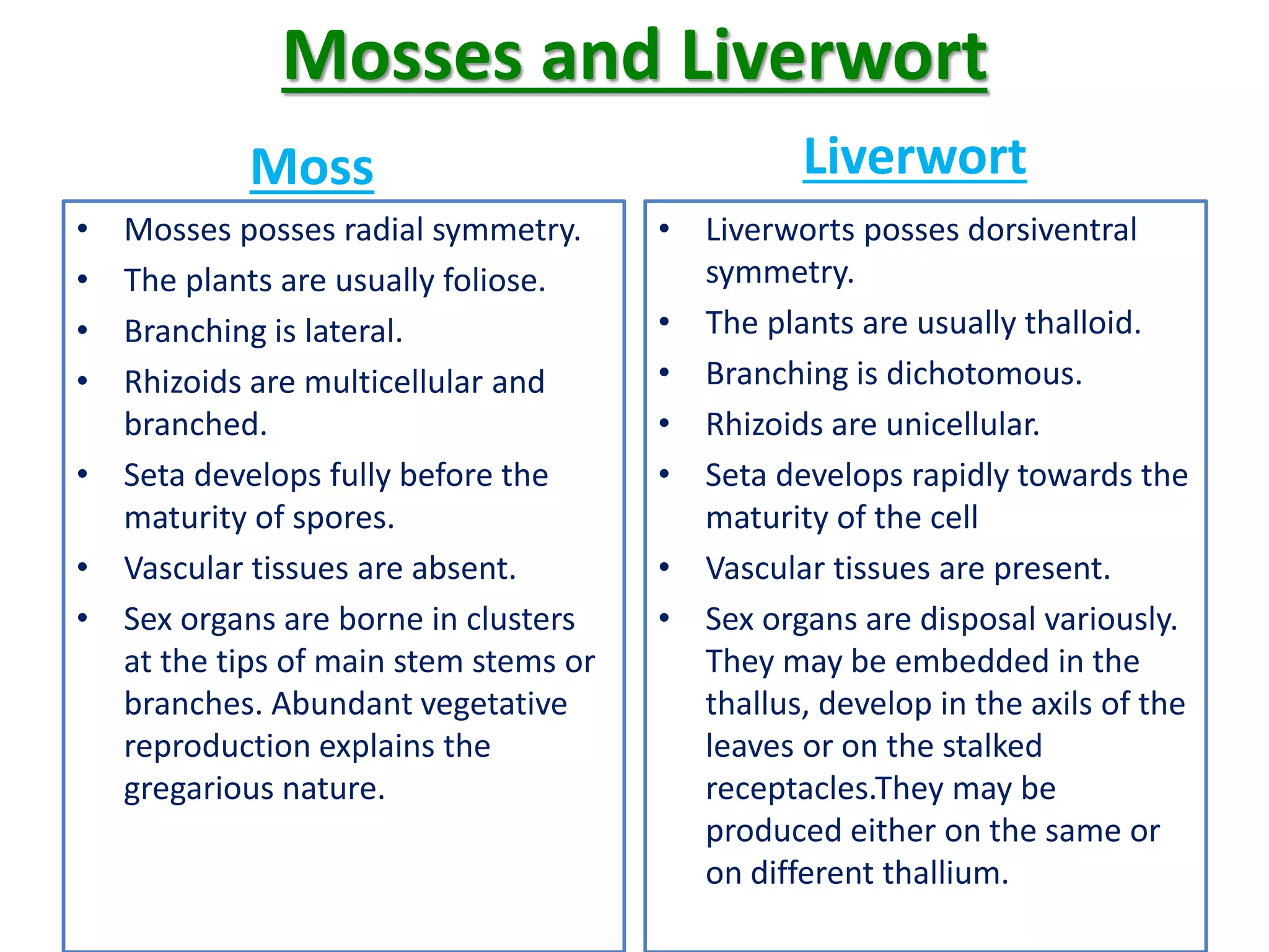 Mosses and Liverwort 
Moss 
• Mosses posses radial symmetry. 
• The plants are usually foliose. 
• Branching is lateral. 
• Rhizoids are multicellular and 
branched. 
• Seta develops fully before the 
maturity of spores. 
• Vascular tissues are absent. 
• Sex organs are borne in clusters 
at the tips of main stem stems or 
branches. Abundant vegetative 
reproduction explains the 
gregarious nature. 
Liverwort 
• Liverworts posses dorsiventral 
symmetry. 
• The plants are usually thalloid. 
• Branching is dichotomous. 
• Rhizoids are unicellular. 
• Seta develops rapidly towards the 
maturity of the cell 
• Vascular tissues are present. 
• Sex organs are disposal variously. 
They may be embedded in the 
thallus, develop in the axils of the 
leaves or on the stalked 
receptacles.They may be 
produced either on the same or 
on different thallium. 
 