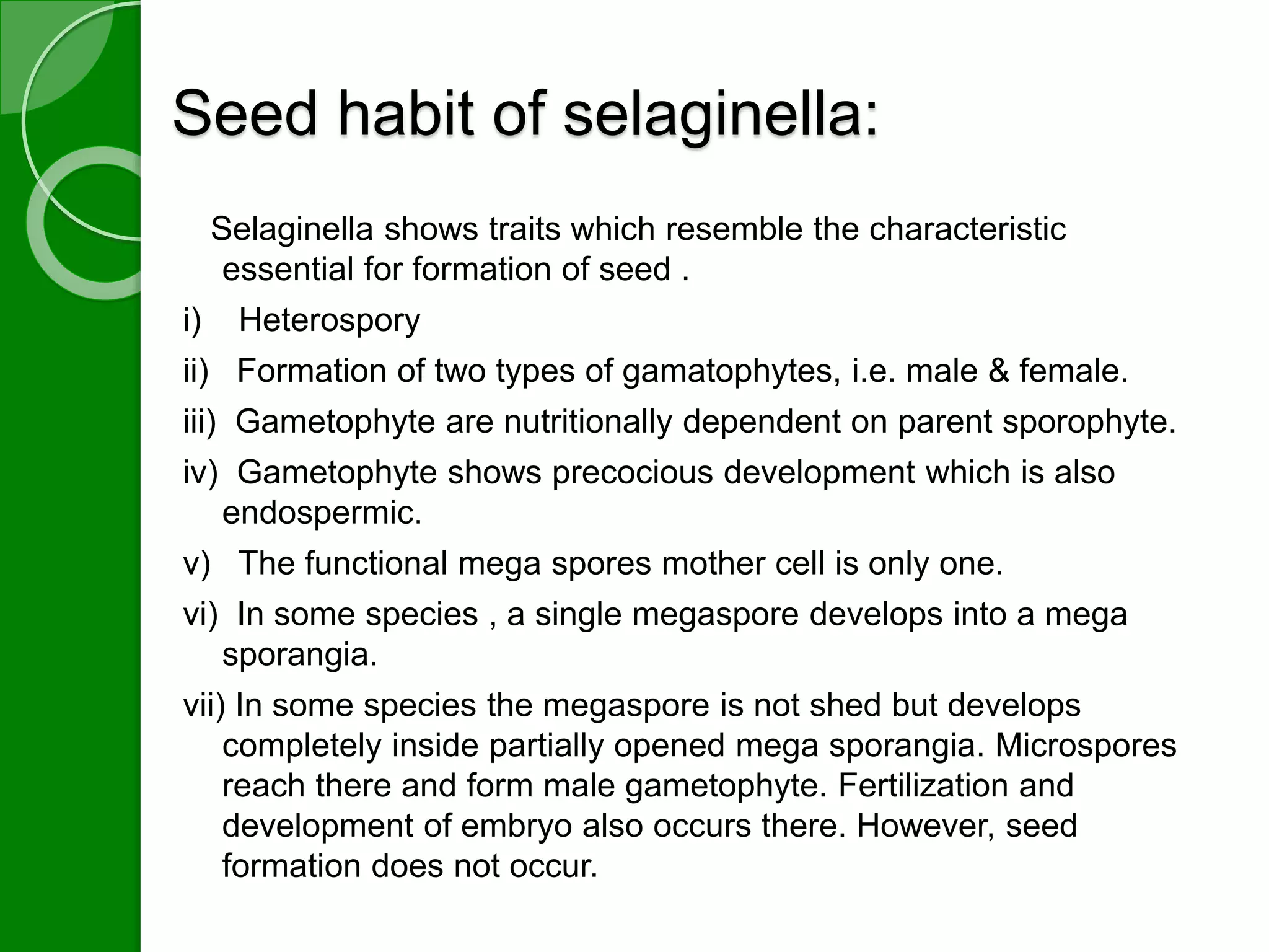 Seed habit of selaginella: 
Selaginella shows traits which resemble the characteristic 
essential for formation of seed . 
i) Heterospory 
ii) Formation of two types of gamatophytes, i.e. male & female. 
iii) Gametophyte are nutritionally dependent on parent sporophyte. 
iv) Gametophyte shows precocious development which is also 
endospermic. 
v) The functional mega spores mother cell is only one. 
vi) In some species , a single megaspore develops into a mega 
sporangia. 
vii) In some species the megaspore is not shed but develops 
completely inside partially opened mega sporangia. Microspores 
reach there and form male gametophyte. Fertilization and 
development of embryo also occurs there. However, seed 
formation does not occur. 
 