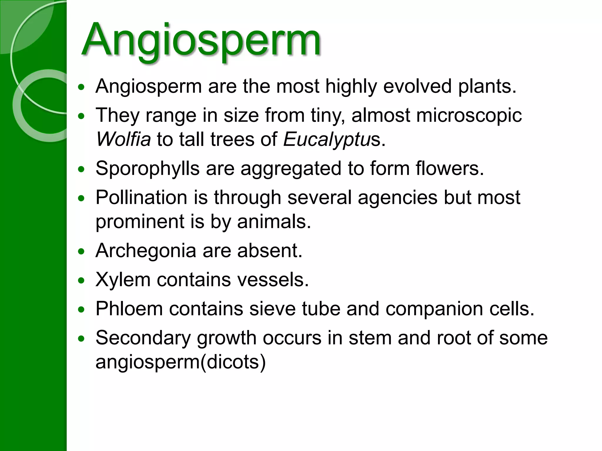 Angiosperm 
 Angiosperm are the most highly evolved plants. 
 They range in size from tiny, almost microscopic 
Wolfia to tall trees of Eucalyptus. 
 Sporophylls are aggregated to form flowers. 
 Pollination is through several agencies but most 
prominent is by animals. 
 Archegonia are absent. 
 Xylem contains vessels. 
 Phloem contains sieve tube and companion cells. 
 Secondary growth occurs in stem and root of some 
angiosperm(dicots) 
 