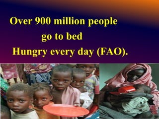 Over 900 million people
go to bed
Hungry every day (FAO).
 