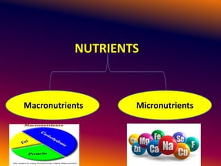 NUTRIENTS
Macronutrients Micronutrients
 
