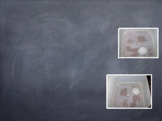 Kai ming's science fair