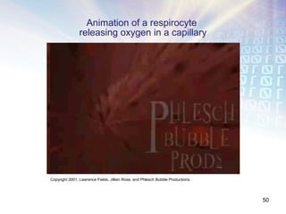 Animation of a respirocyte
                releasing oxygen in a capillary




Copyright 2001, Lawrence Fields, Jillian Rose, and Phlesch Bubble Productions.




                                                                                 50
 