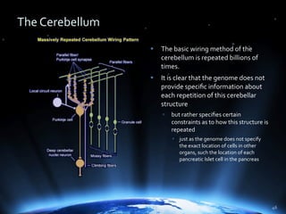 The Power of Hierarchical Thinking - Ray Kurzweil - H+ Summit @ Harvard
