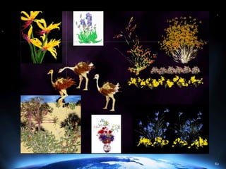 The Power of Hierarchical Thinking - Ray Kurzweil - H+ Summit @ Harvard