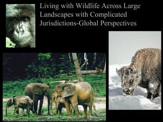 Living with Wildlife Across Large
Landscapes with Complicated
Jurisdictions-Global Perspectives
 