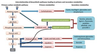 interrelationship of biosynthetic pathways | PPTX