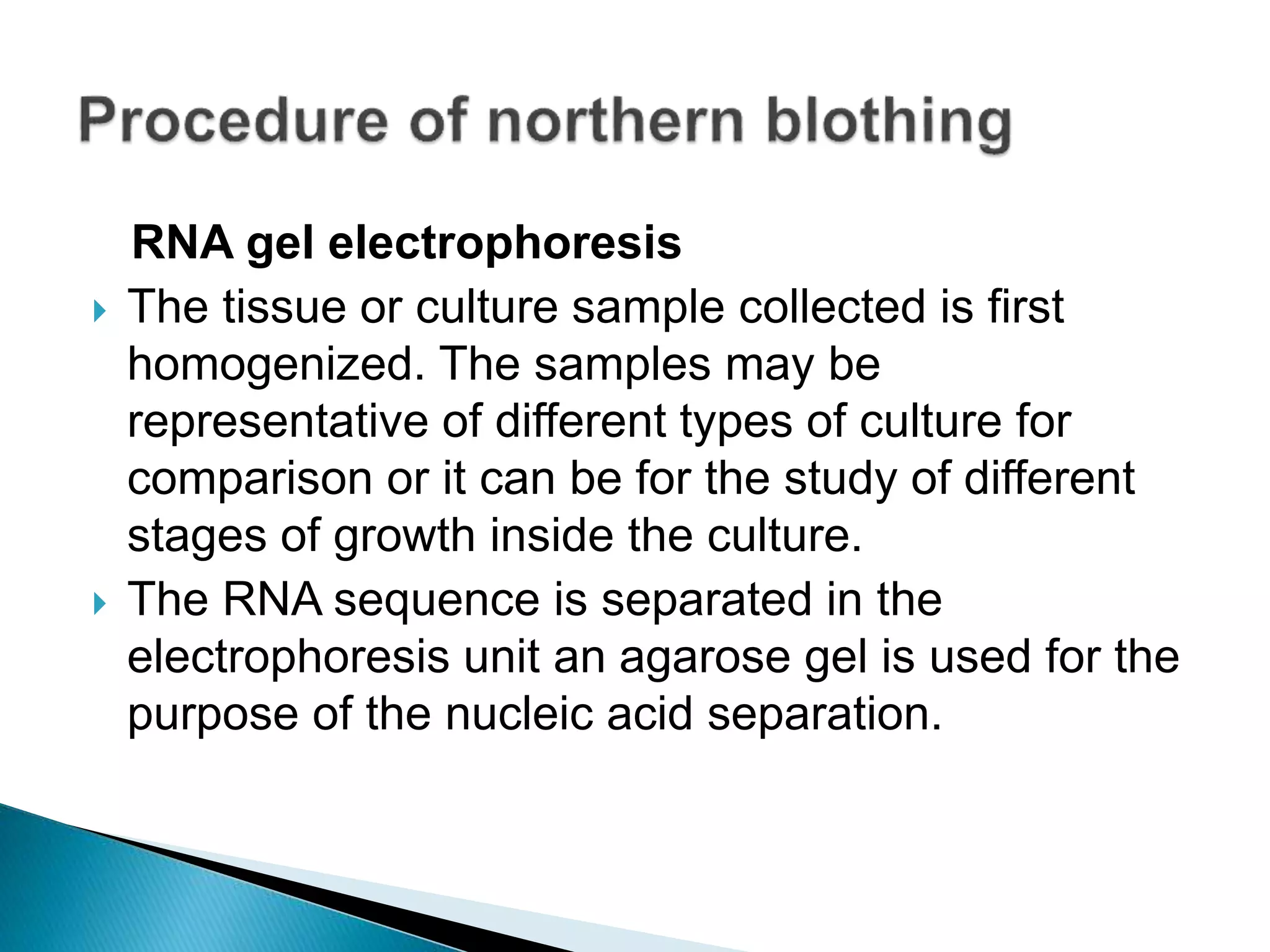 RNA gel electrophoresis
 The tissue or culture sample collected is first
homogenized. The samples may be
representative of different types of culture for
comparison or it can be for the study of different
stages of growth inside the culture.
 The RNA sequence is separated in the
electrophoresis unit an agarose gel is used for the
purpose of the nucleic acid separation.
 