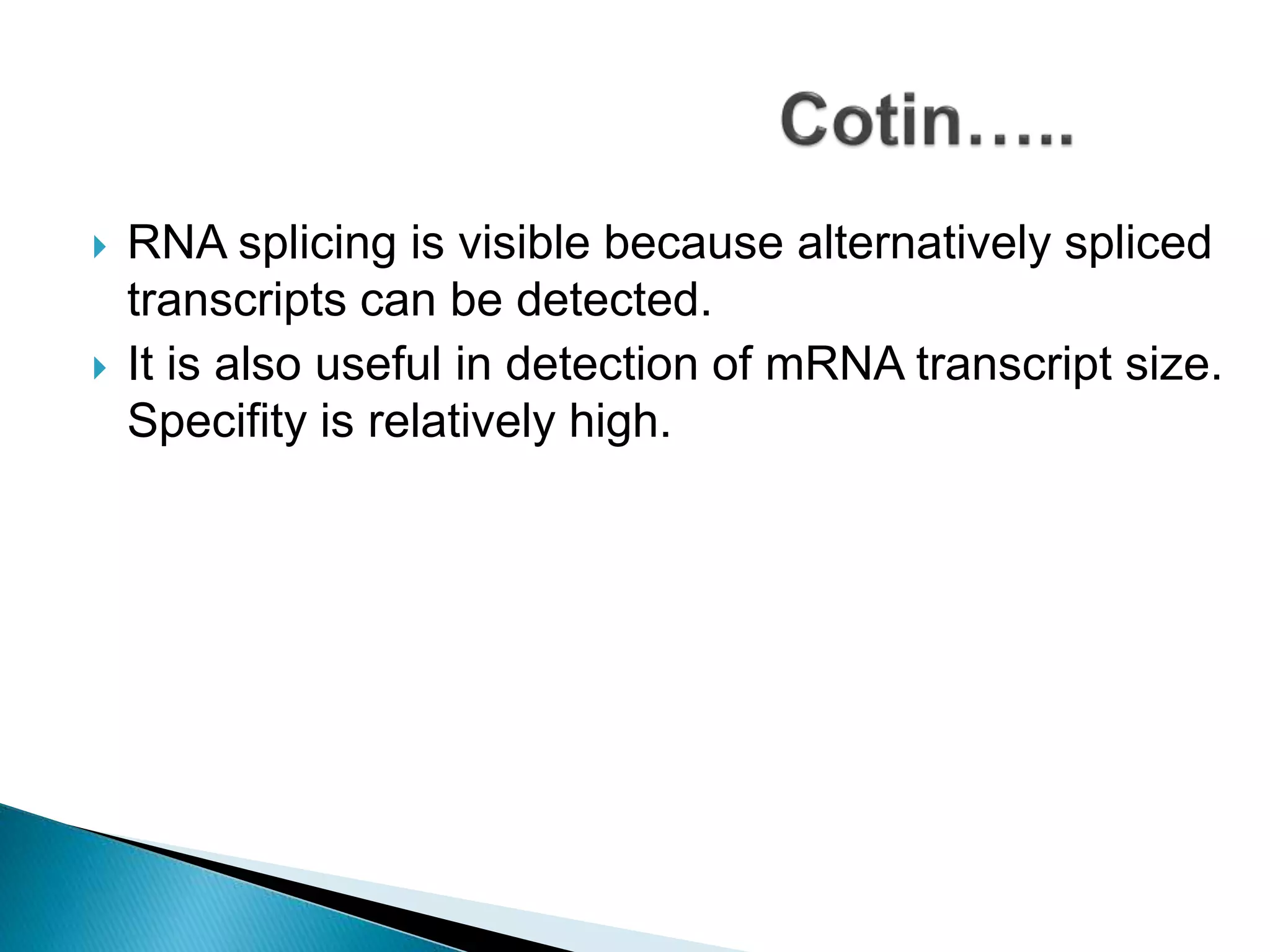  RNA splicing is visible because alternatively spliced
transcripts can be detected.
 It is also useful in detection of mRNA transcript size.
Specifity is relatively high.
 