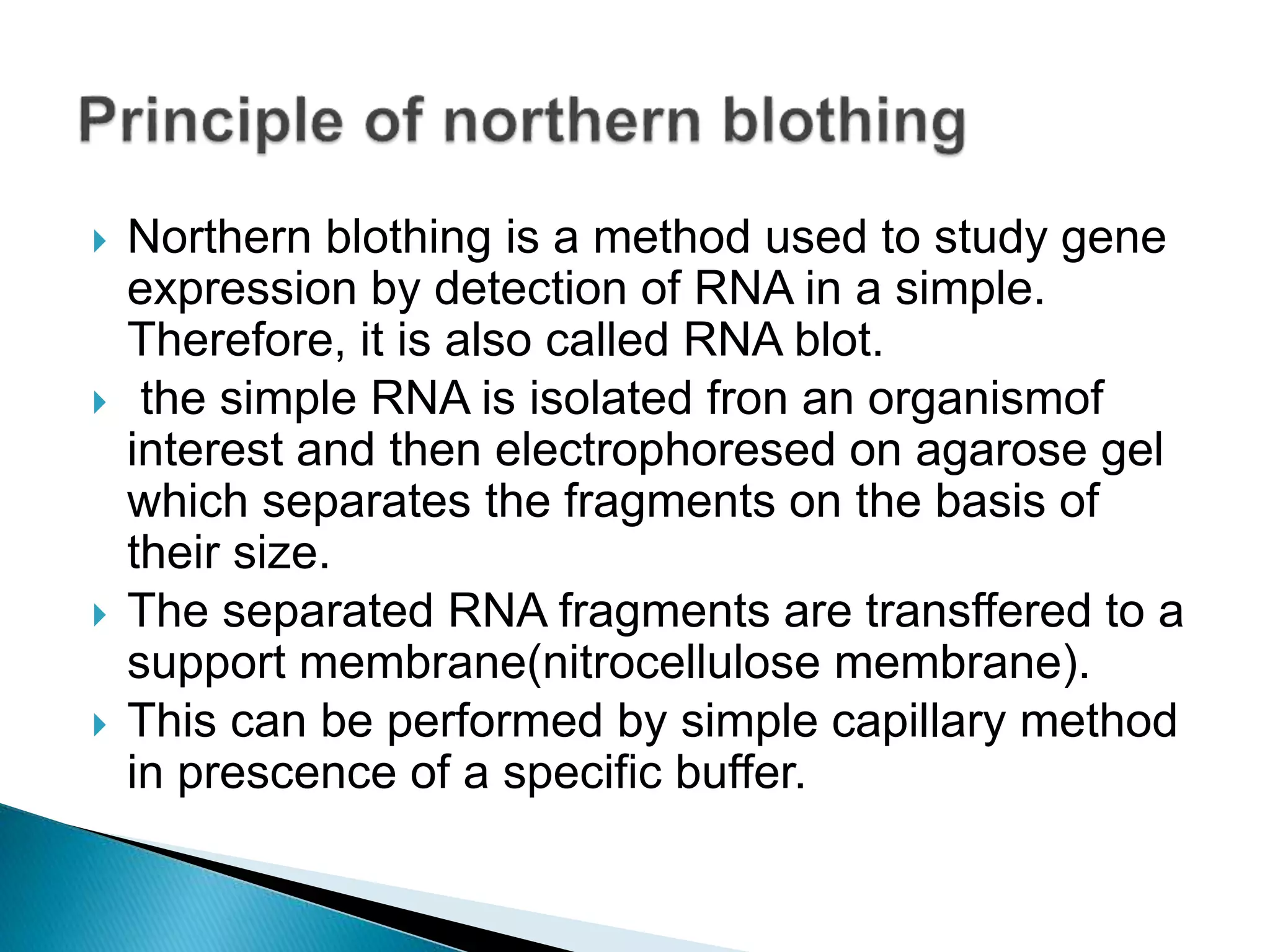  Northern blothing is a method used to study gene
expression by detection of RNA in a simple.
Therefore, it is also called RNA blot.
 the simple RNA is isolated fron an organismof
interest and then electrophoresed on agarose gel
which separates the fragments on the basis of
their size.
 The separated RNA fragments are transffered to a
support membrane(nitrocellulose membrane).
 This can be performed by simple capillary method
in prescence of a specific buffer.
 