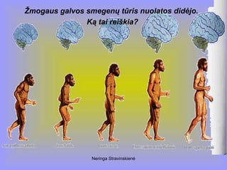 Neringa Stravinskienė
Žmogaus galvos smegenų tūris nuolatos didėjo.
Ką tai reiškia?
 