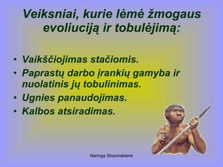 Neringa Stravinskienė
Veiksniai, kurie lėmė žmogaus
evoliuciją ir tobulėjimą:
• Vaikščiojimas stačiomis.
• Paprastų darbo įrankių gamyba ir
nuolatinis jų tobulinimas.
• Ugnies panaudojimas.
• Kalbos atsiradimas.
 