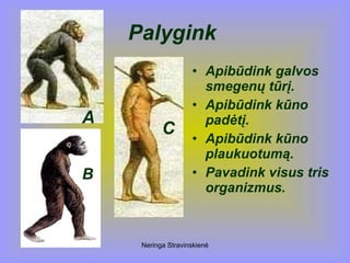 Neringa Stravinskienė
Palygink
• Apibūdink galvos
smegenų tūrį.
• Apibūdink kūno
padėtį.
• Apibūdink kūno
plaukuotumą.
• Pavadink visus tris
organizmus.
A
B
C
 