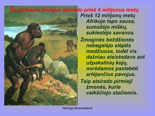 Neringa Stravinskienė
Prieš 12 milijonų metų
Afrikoje tapo sausa,
sumažėjo miškų,
suklestėjo savanos.
Žmoginės beždžionės
nebegalėjo slėptis
medžiuose, todėl vis
dažniau atsistodavo ant
užpakalinių kojų,
norėdamos pastebėti
artėjančius pavojus.
Taip atsirado pirmieji
žmonės, kurie
vaikščiojo stačiomis.
Šis pirmasis žmogus atsirado prieš 4 milijonus metų
 